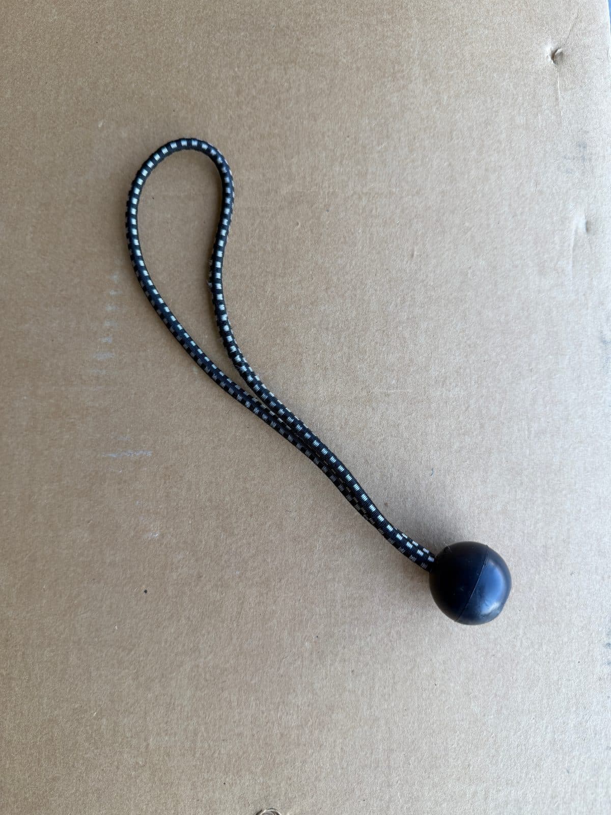 9" Black Ball Bungee 2