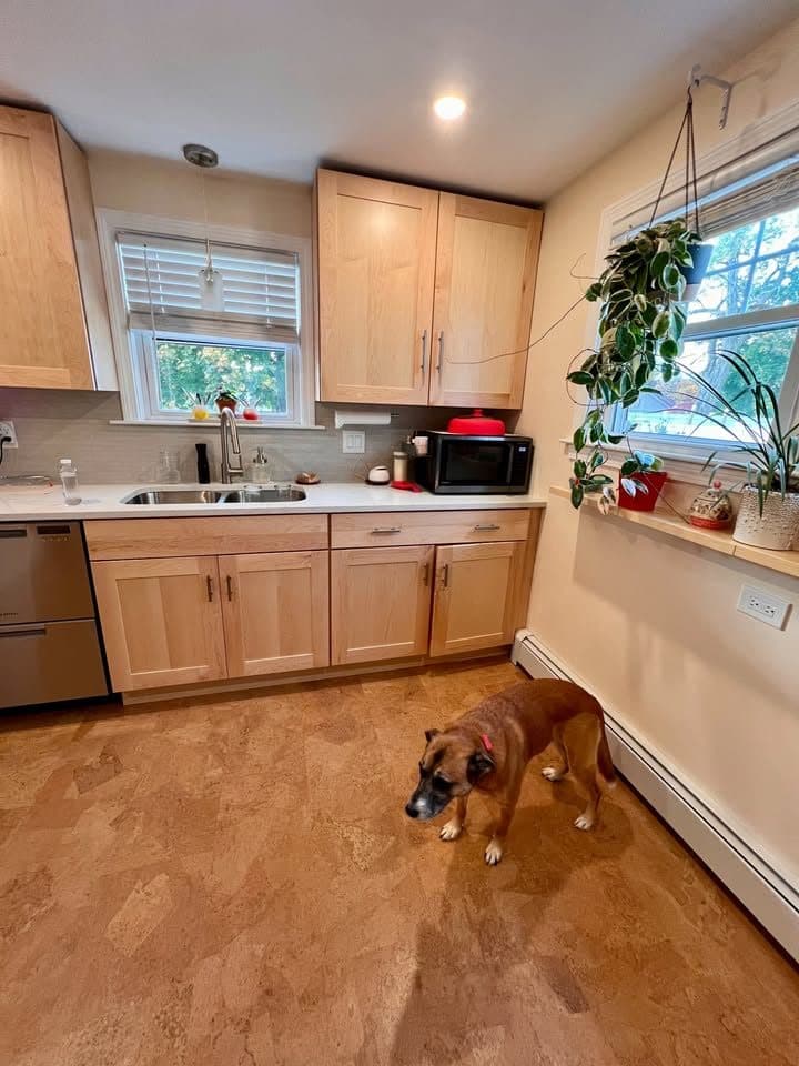 Cork Flooring 2