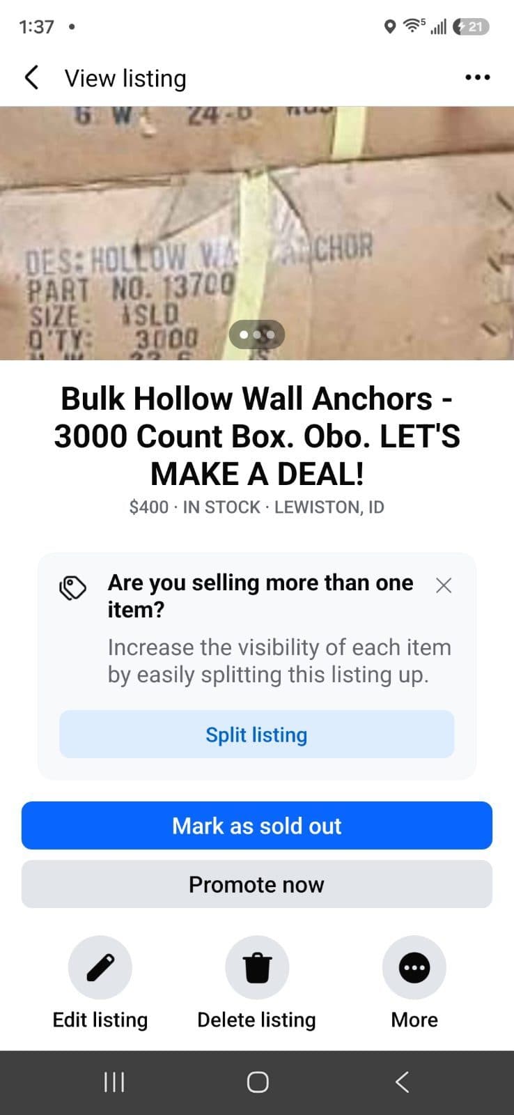 Molly Hangers 4