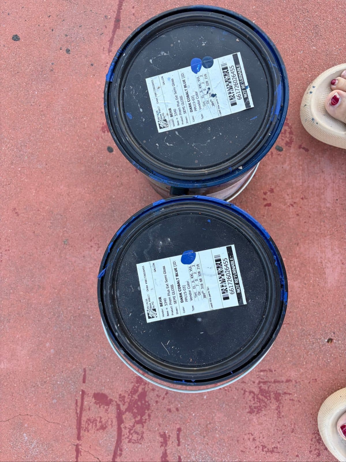 Behr Dark Cobolt Blue Paint