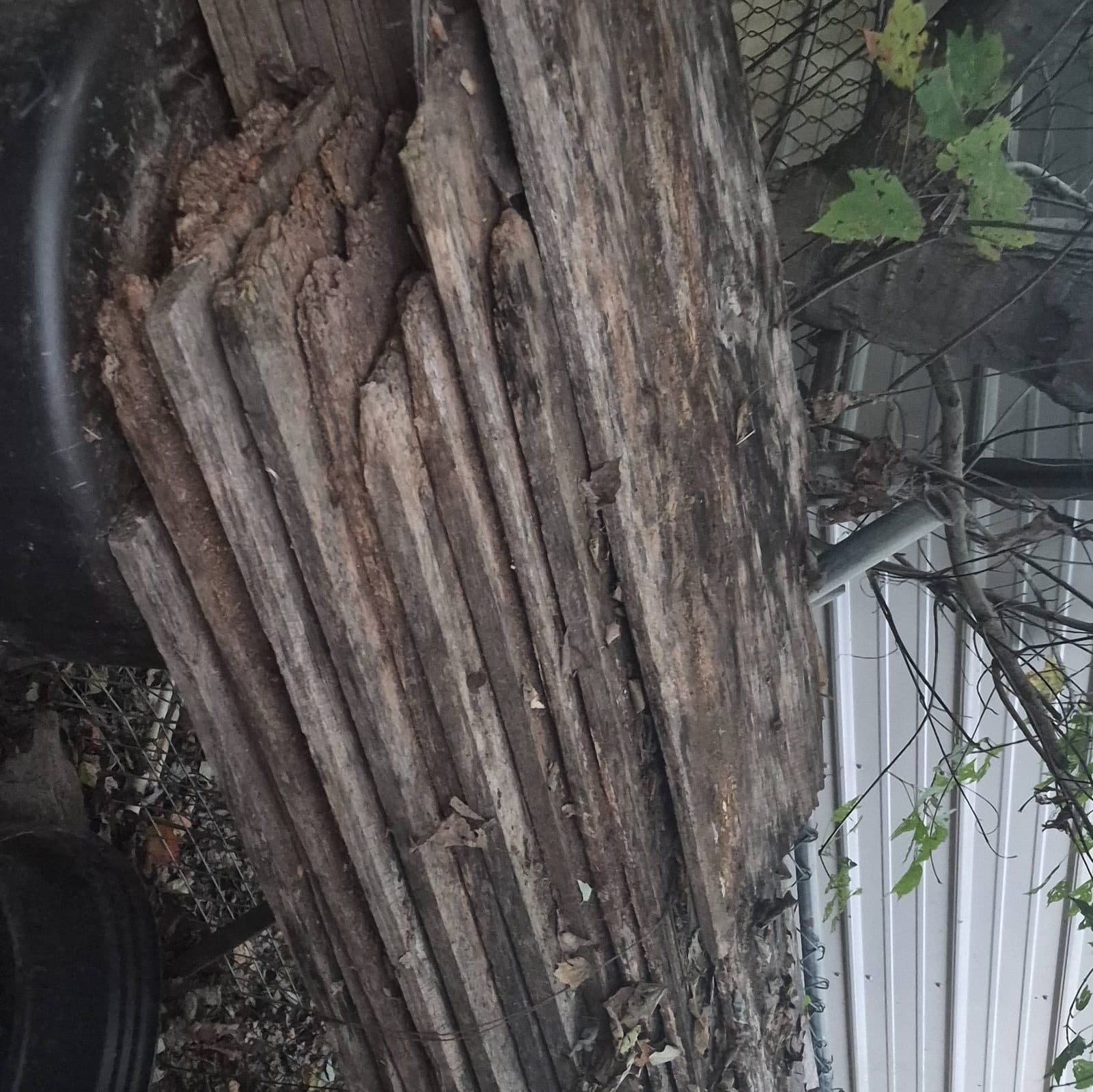 Used and some damaged lumber 2