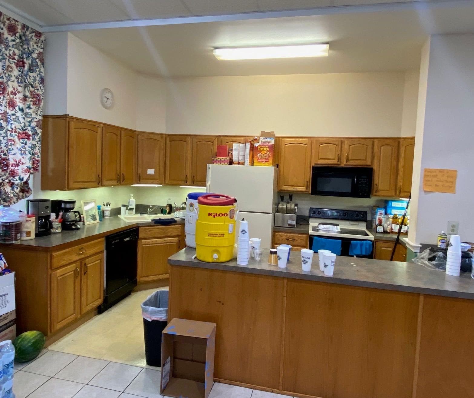 Kitchen cabinets
