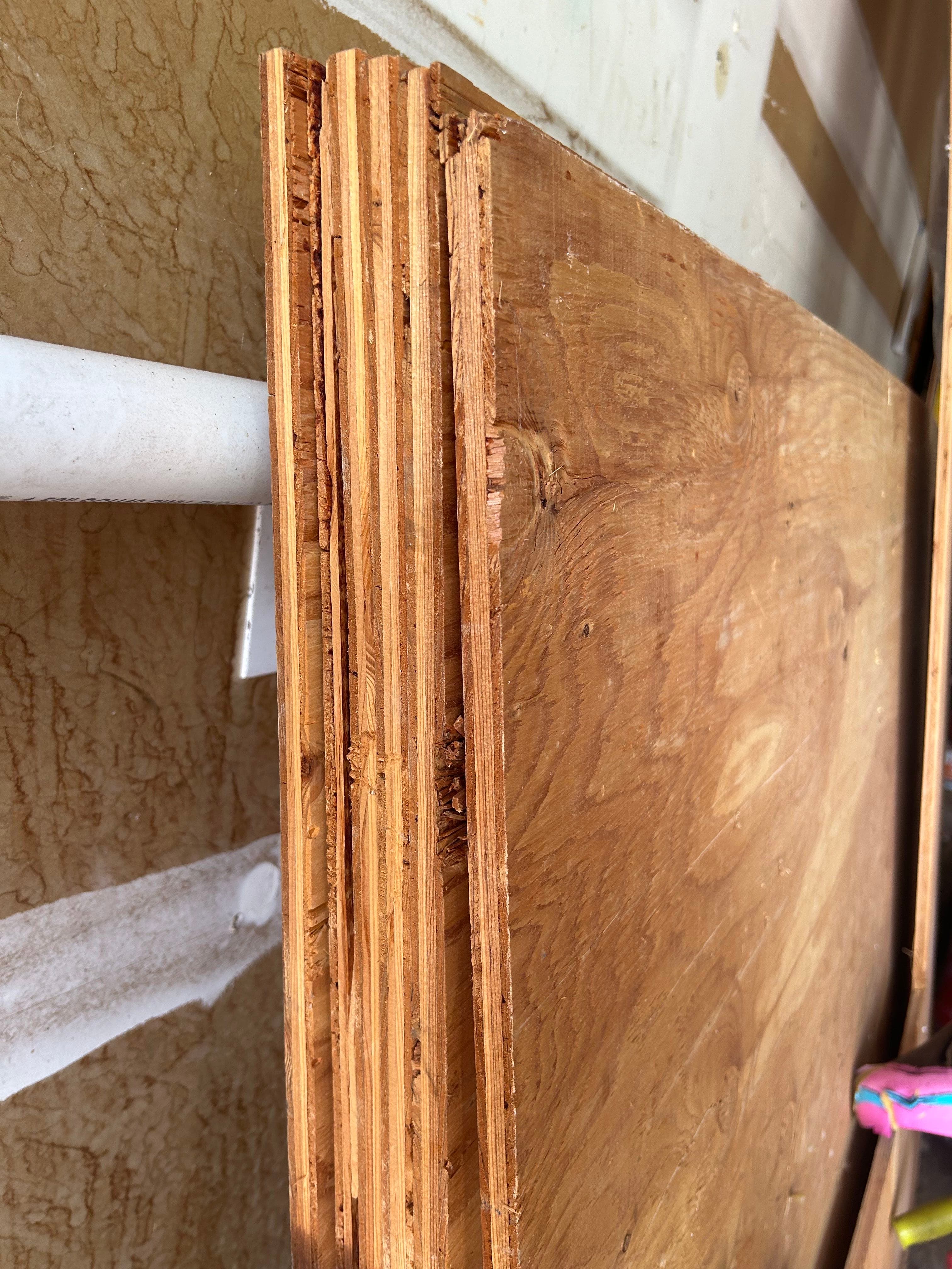 Sheathing Plywood