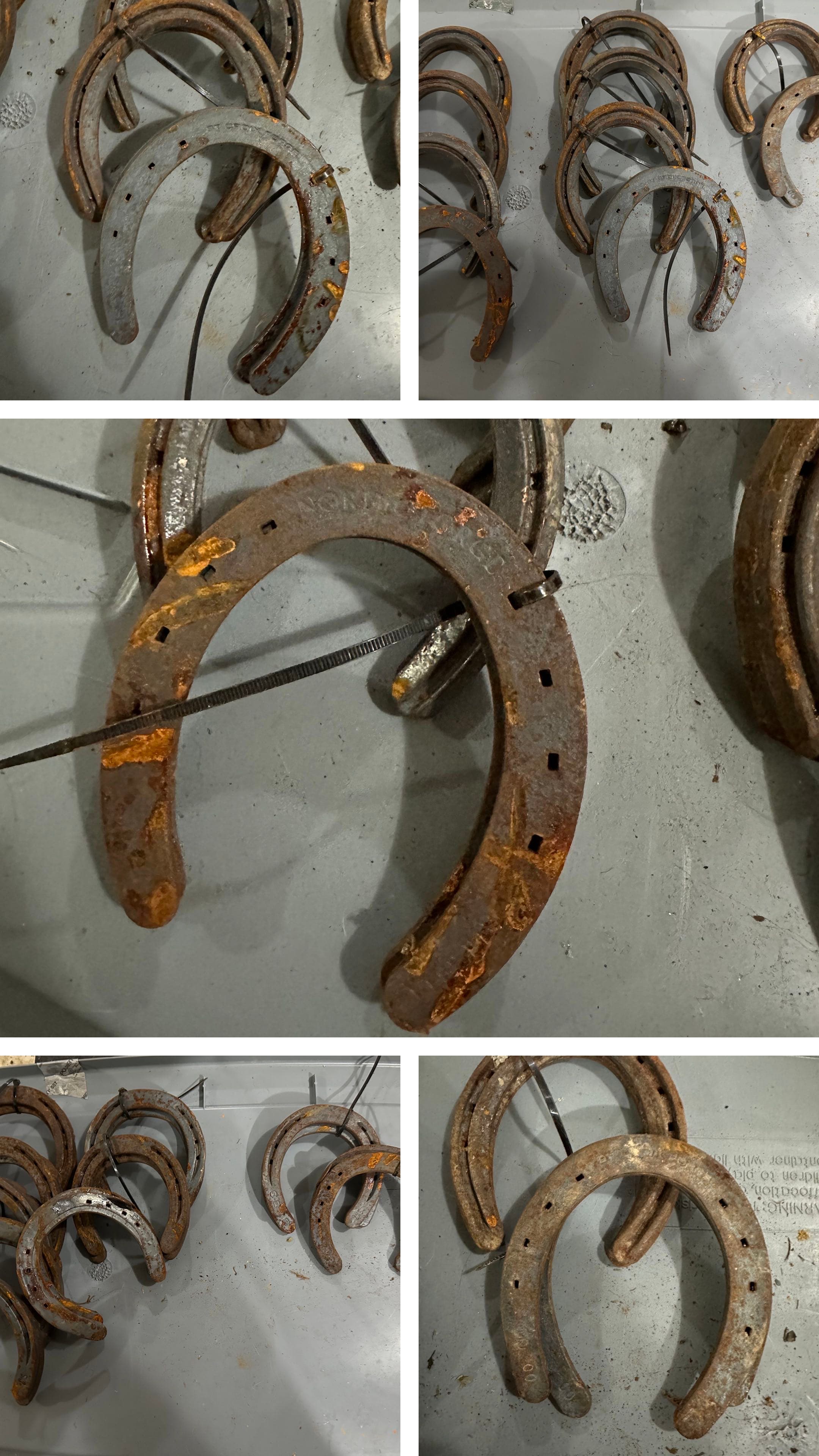 62 Sets of Various Size Horse Shoes! 5