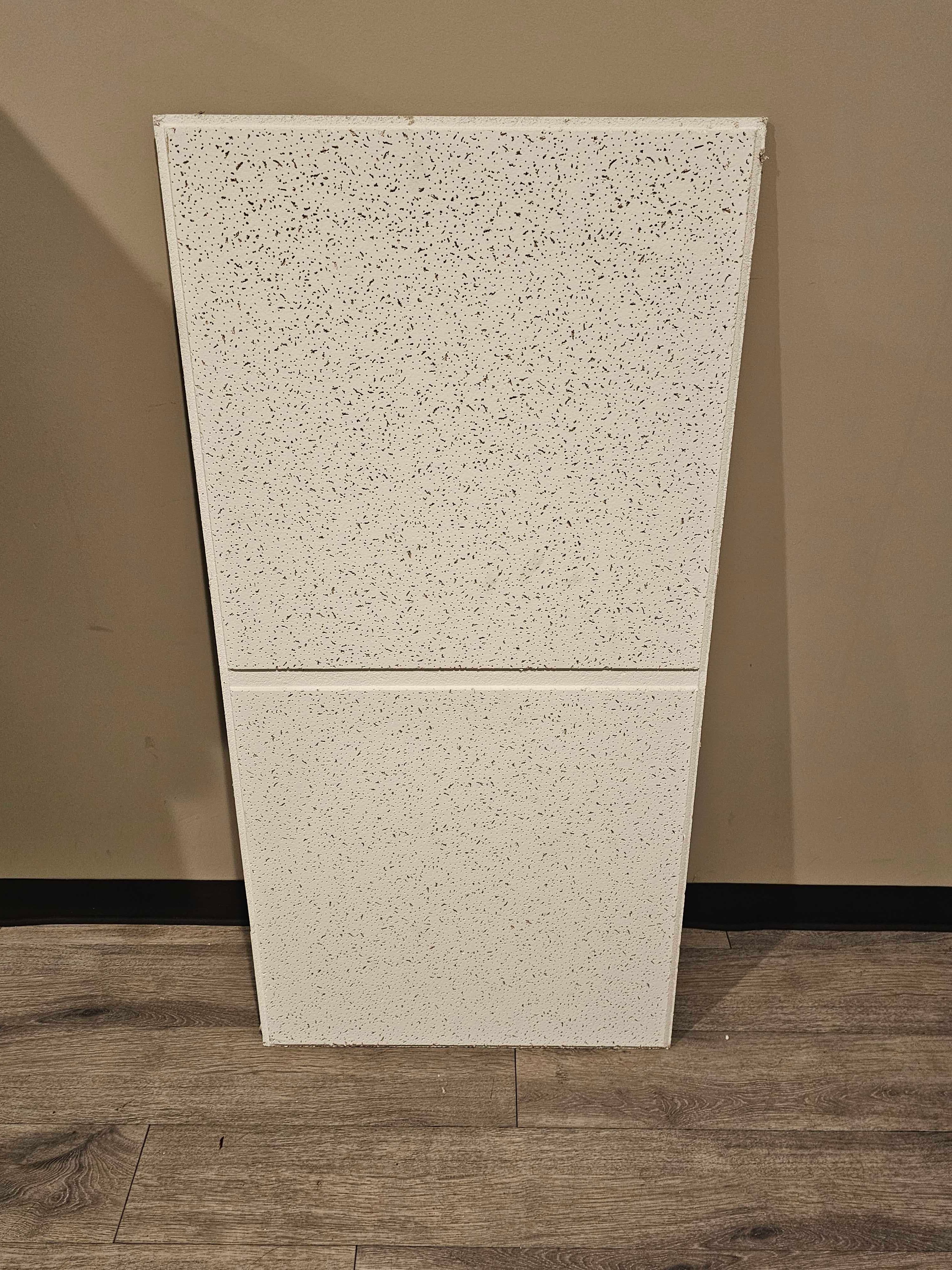Scored 24 in. x 48 in. Tegular Drop Ceiling - T-Bar Acoustic Tile