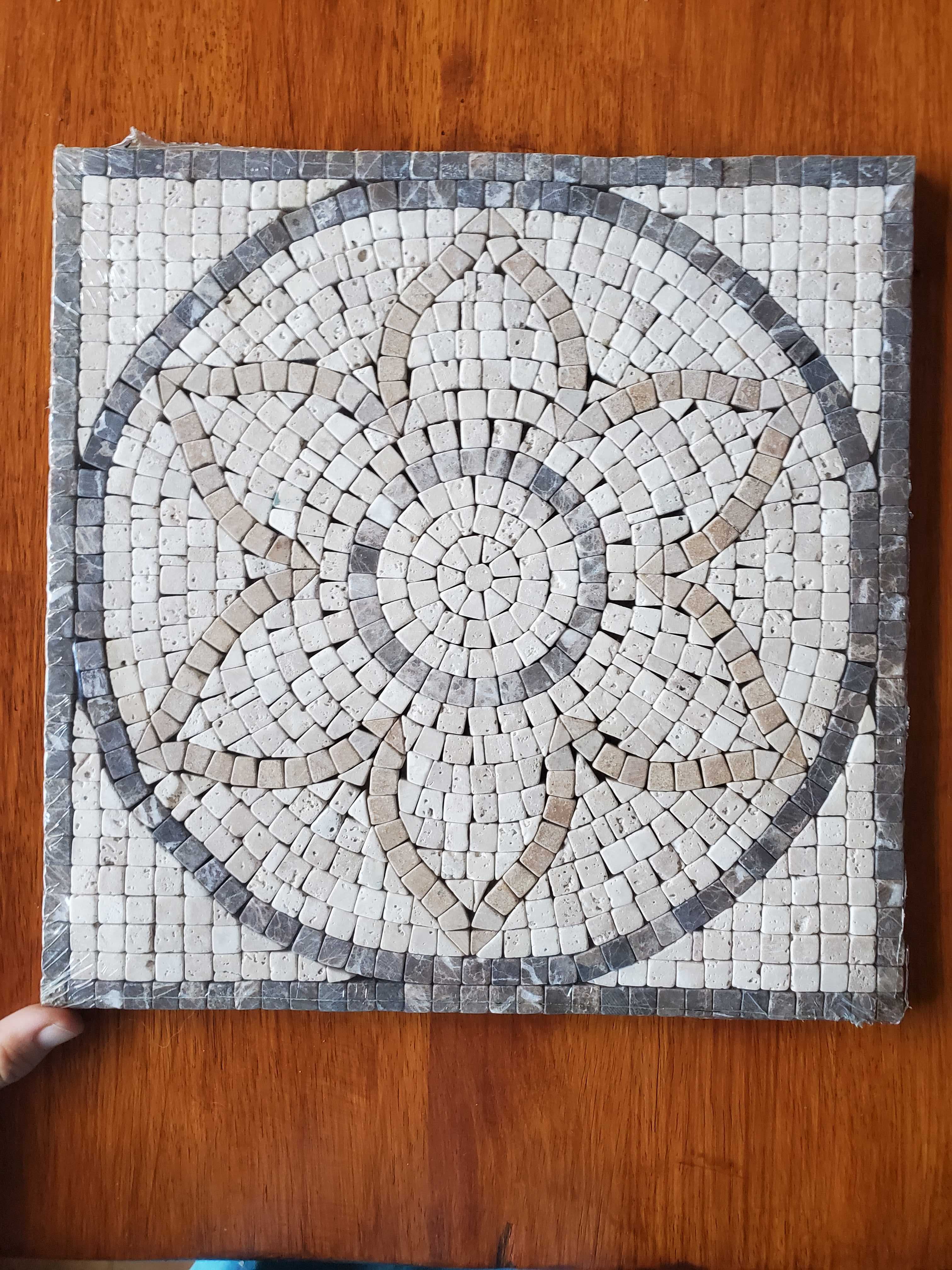 12in x 12in Decrotive Style Floor/Wall Tile