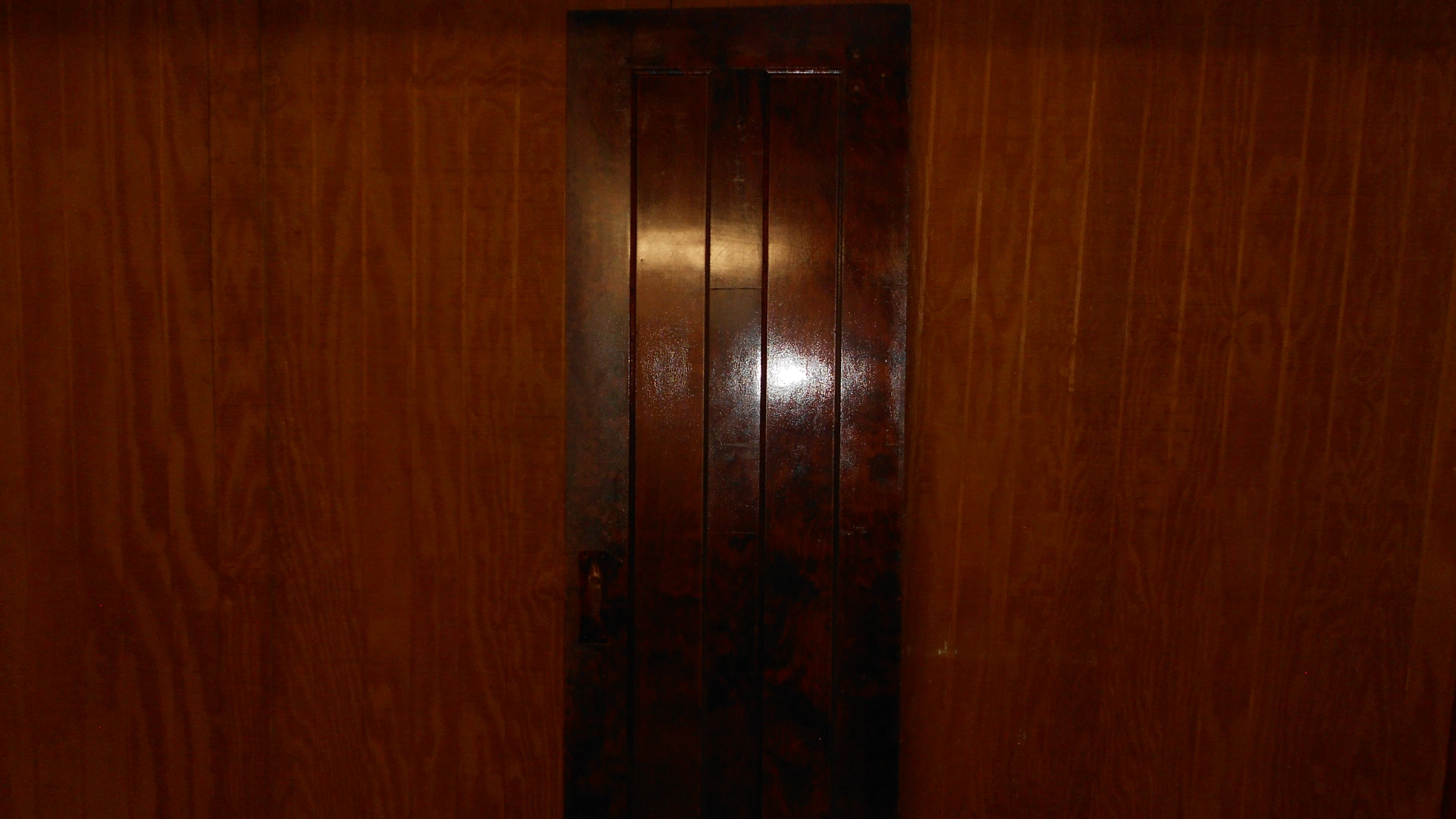 Interior Birch Wood Doors from the 1920s. $175 Each