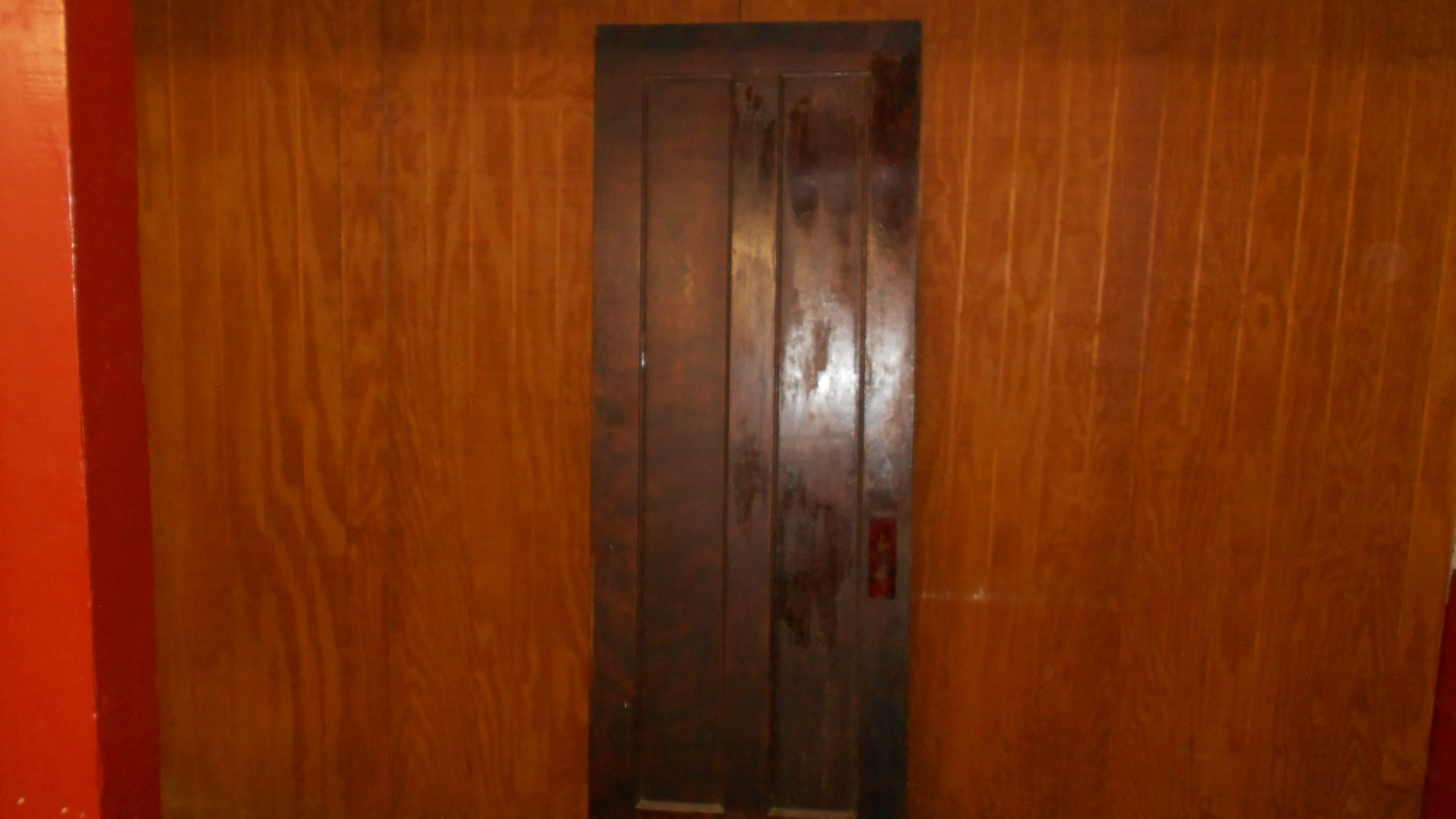 Interior Birch Wood Doors from the 1920s. $175 Each 2